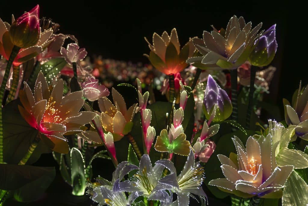 Joana Vasconcelos - Jardim do Éden