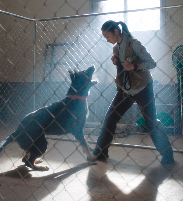 15ª Mostra de Cinema Coreano