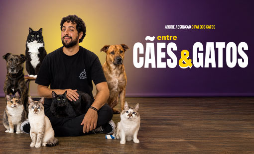 André Assunção, Entre Cães e Gatos