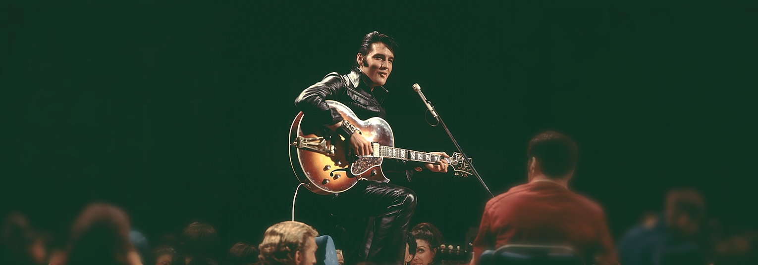 Elvis In Concert